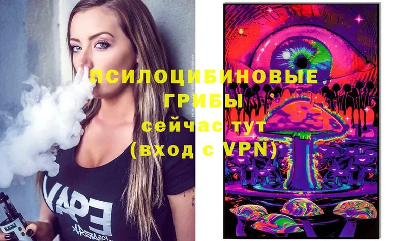 Псилоцибиновые грибы MAGIC MUSHROOMS  Правдинск 